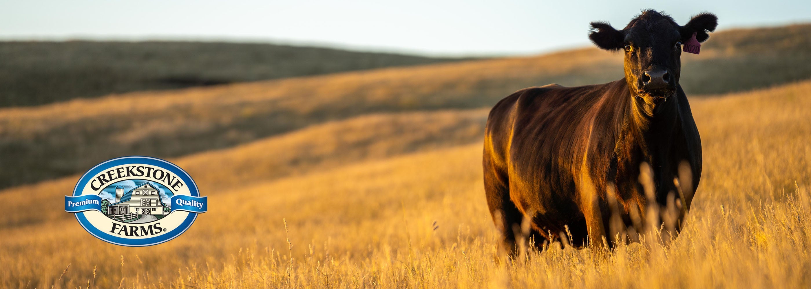 US-Beef Filet