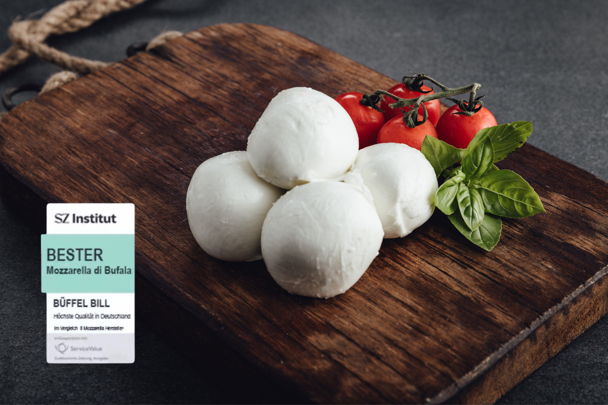 Mozzarella de búfala D.O.P. | 250g